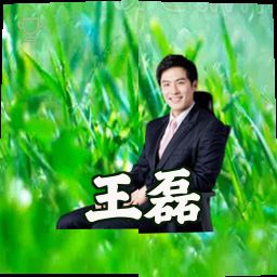 王磊