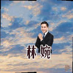 林婉